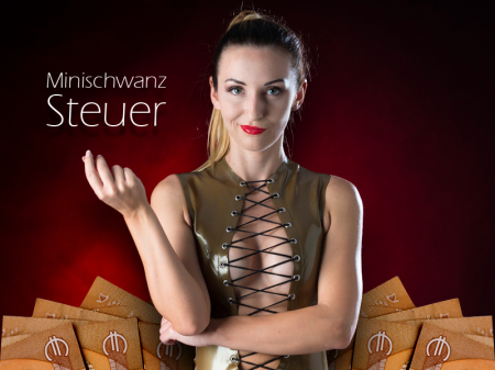 Mini***-Steuer