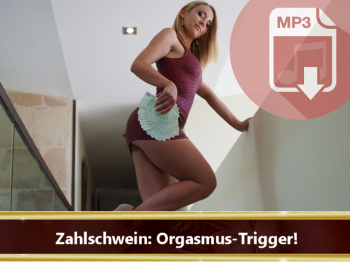 Audio ***: Zahlschwein *** Trigger