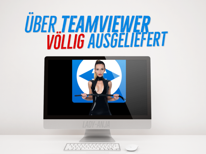 TeamViewer-Session