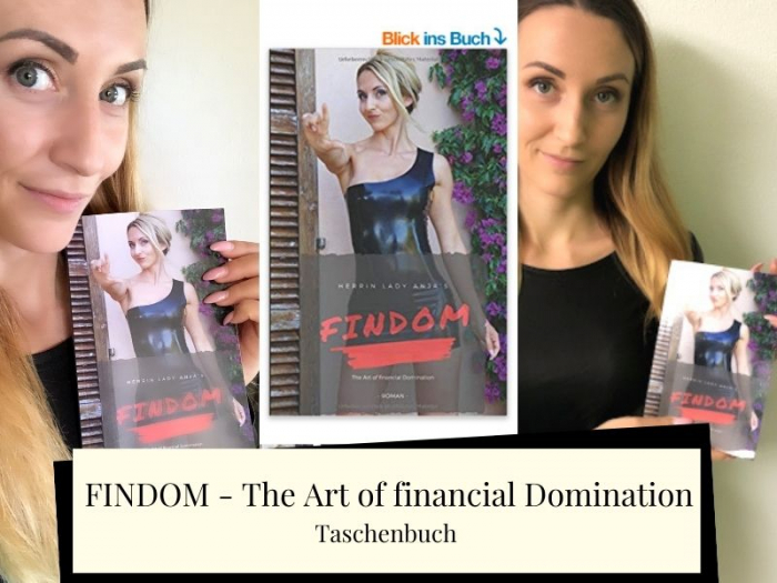 Buch: FINDOM - The Art of financial Domination