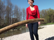 Hol das Stöckchen, Drecksköter!