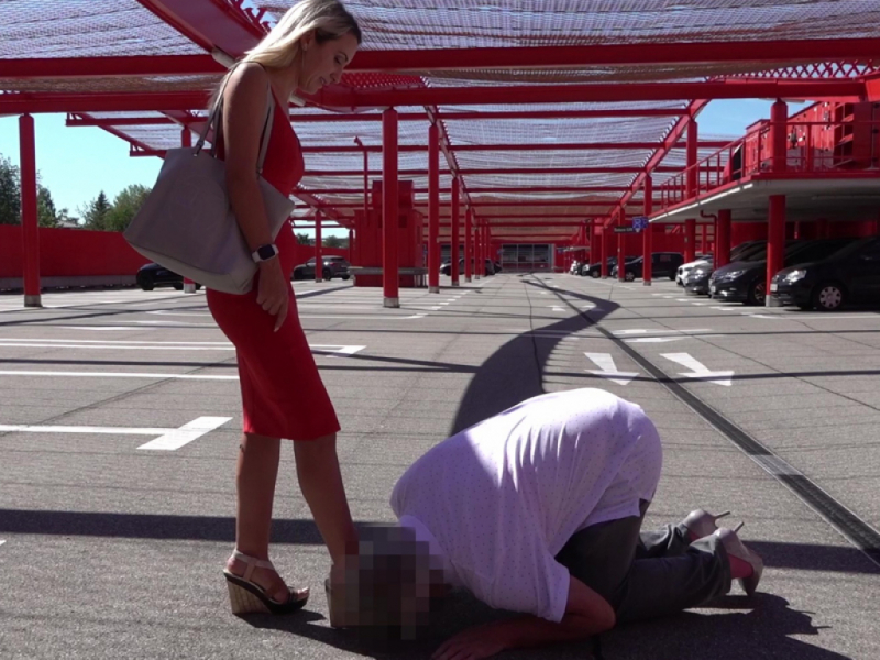 Cash and Go Melktour³! 3 Frauen, 3 Opfer