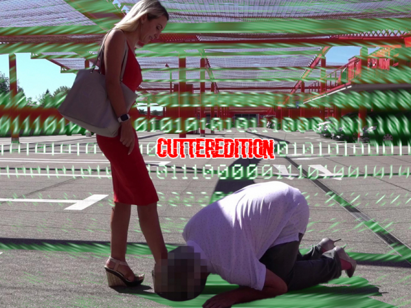 Cash and Go Melktour³! Behind the Scenes: Cutter Edition