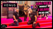 VENUS Berlin Dogwalk! 3 Sklaven an der Leine!