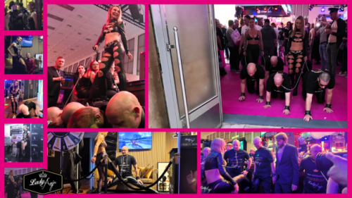 Lady Anja Venus 2025 Aftermovie