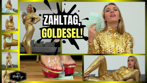 Zahltag, Goldesel!